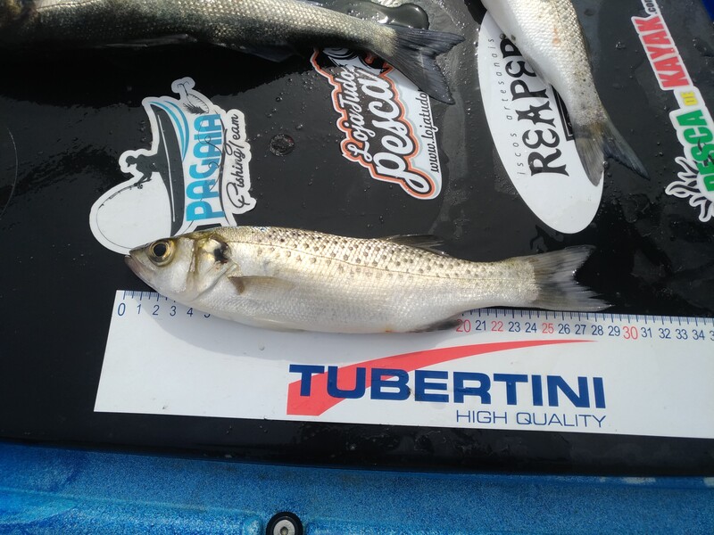 Fish Measure Picture